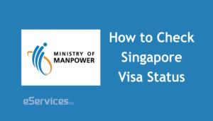 Check Singapore Visa Status by Passport Number
